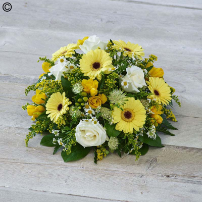 Scented Yellow Posy - A pretty combination of fresh yellow and white blooms featuring germini, astrantia and fragrant freesias. 

Approximate Product Dimensions:
Standard:
Width: 34cm, Height: 21cm.

Large:
Width: 36cm, Height: 21cm.

Extra large:
Width: 40cm, Height: 24cm.