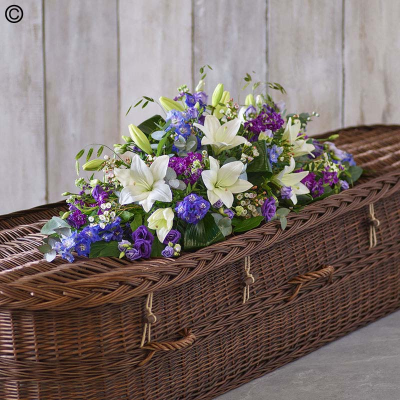 Blue and White Casket Spray - A beautiful array of blue, purple and white blooms including delphiniums, lilies and stocks.

Approximate Product Dimensions:

Standard:
Length 90cm.Width 40cm. Height 30cm.

Large:
Length 120cm. Width 40cm. Height 30cm.

Extra large:
Length 155cm. Width 45cm. Height 30cm.