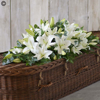 Lily Casket Spray - White - A spray of fragrant, striking oriental lilies contrasted beautifully with foliage.

Approximate Product Dimensions:
Standard:
Length: 92cm, Width: 58cm, Height: 32cm.

Large:
Length: 122cm, Width: 60cm, Height: 35cm.

Extra large:
Length: 153cm, Width: 60cm, Height: 35cm.